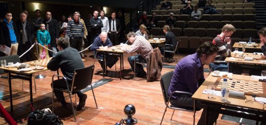 NK Dammen 2013 Steenwijk